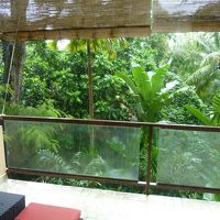 ジャングルビューのお部屋から