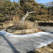 真冬のソウルで、池は見事に凍り付いていました。