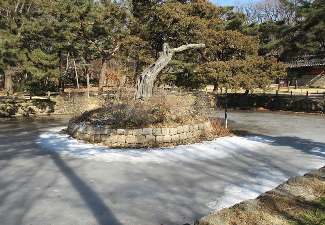 真冬のソウルで、池は見事に凍り付いていました。