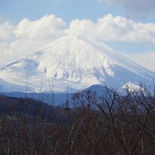 雲がかかっていますが、やはり日本一の山です。