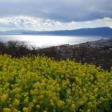 相模湾も　一望！