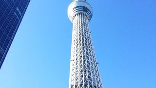 展望デッキには行きませんでしたが。