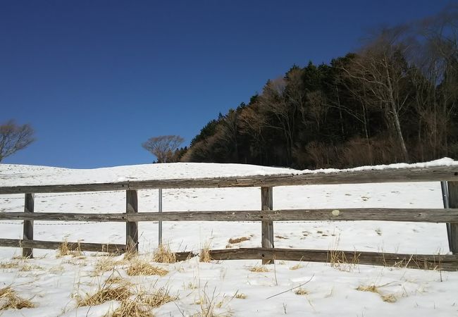 茶臼山高原牧場