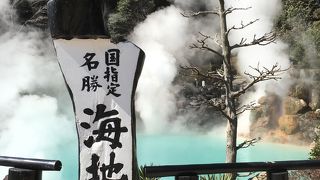 ちょっとした庭園風