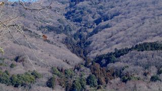 天気良かった(^^♪