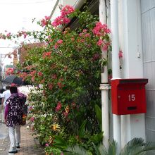 通りには花も見られました