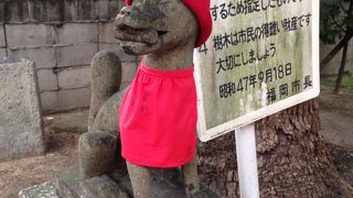 きれいな神社でした