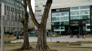 天神のオアシス