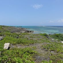 海の景色は遊歩道から見ましょう。