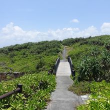 東へとのびる遊歩道。