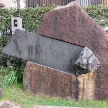 独特な形状をしています