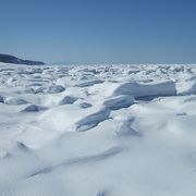 秋はサケの遡上、冬は流氷