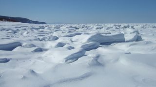 秋はサケの遡上、冬は流氷