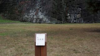 白鳥はいませんでした