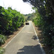 久高島でサイクリング