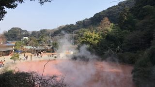 お土産やさんも広くて見やすい