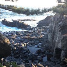 橋立の柱状節理