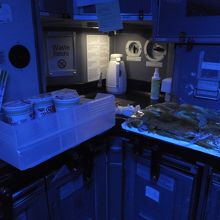 復路(MEX-NRT)：ミッドフライトスナック