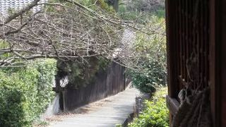 鞆の浦のおかあさん、ありがとうございました。