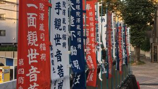 毎日の落ち葉掃除に感謝