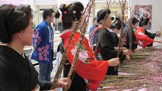 桃の花プレゼント