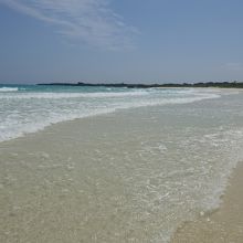 見ているだけで癒される。