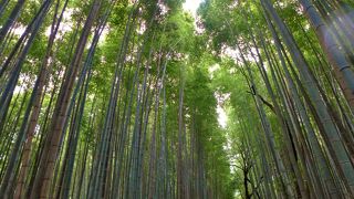 嵯峨野の観光名所