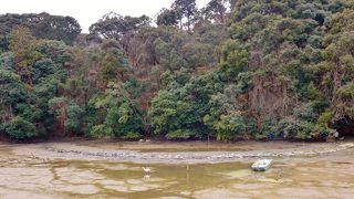 あれ?！ 水がない
