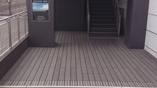 近くでみれるのはいいですね