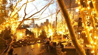 屋上のおもはらの森が素敵