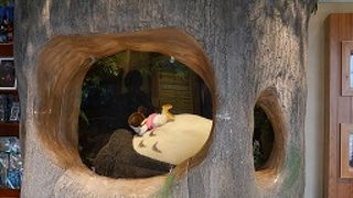 今度は孫を連れて来たいネ