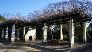 阿智の藤という樹齢300年から500年と言われる藤が見どころでしょう