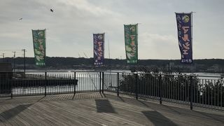 マグロがいっぱい