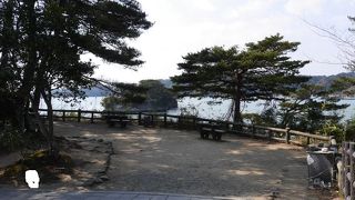たくさんの植物と松島の絶景を鑑賞できる島