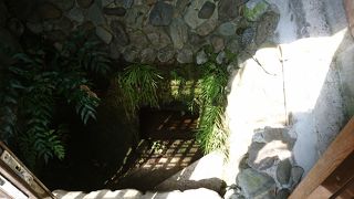 ポタポタ涌き出る湧水でパワーをもらえます