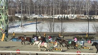 一見の価値あり