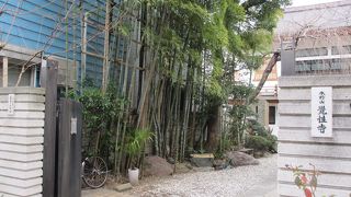 竹が印象的です