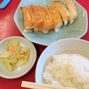 さすがみんんみん。焼き餃子うまし