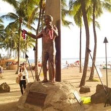 これは午後（夕方）の撮影。逆光です。