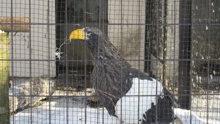 正門近くです。