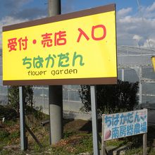 隣にある苺狩りと花摘みの農園「ちばかだん」の看板