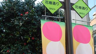 椿が咲いていました