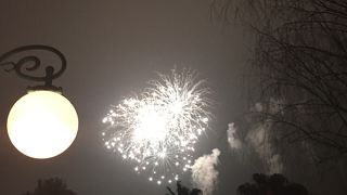 どこでも見ることが可能