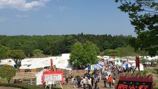 芝生でまったり