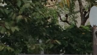 美味しいお店も