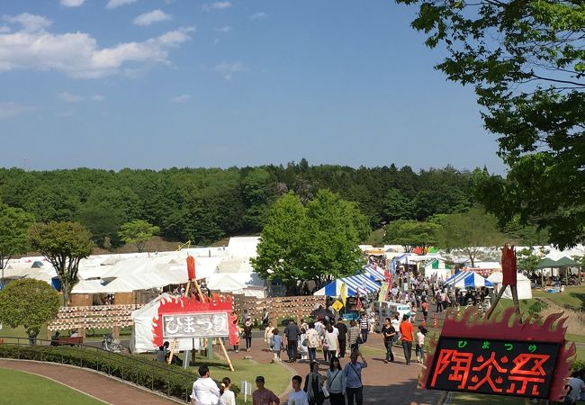 芝生でまったり