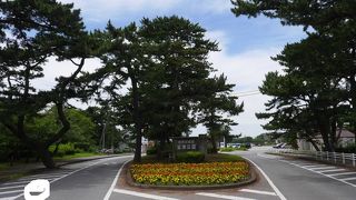 プールも、砂浜もキャンプも楽しめる公園