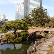 磯の風景を造り出しています。