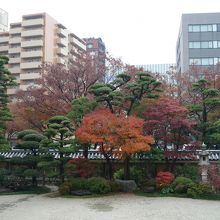 紅葉が残っていました