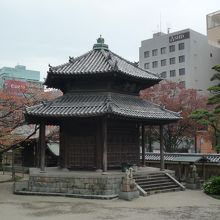 趣がありました